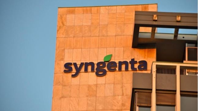 syngenta para site